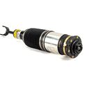 Gen II esim. õhkamort - 97-04 Audi A6 (C5), 99-05 Audi A6 allroad quattro (C5)