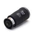 Rear Left Air Spring - 99-03 BMW 5 Series (E39) wagon w/rear air leveling