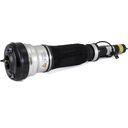taast. esim. õhkamort - 99-06 Mercedes-Benz S-Class (W220) w/o ABC, w/o 4Matic