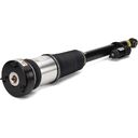 New Rear Right Air Strut - 07-13 Mercedes-Benz S-Class (W221) w/AIRMATIC w/o 4MATIC