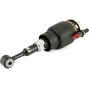 Front Air Strut - 03-06 Lincoln Navigator/Ford Expedition - Left or Right